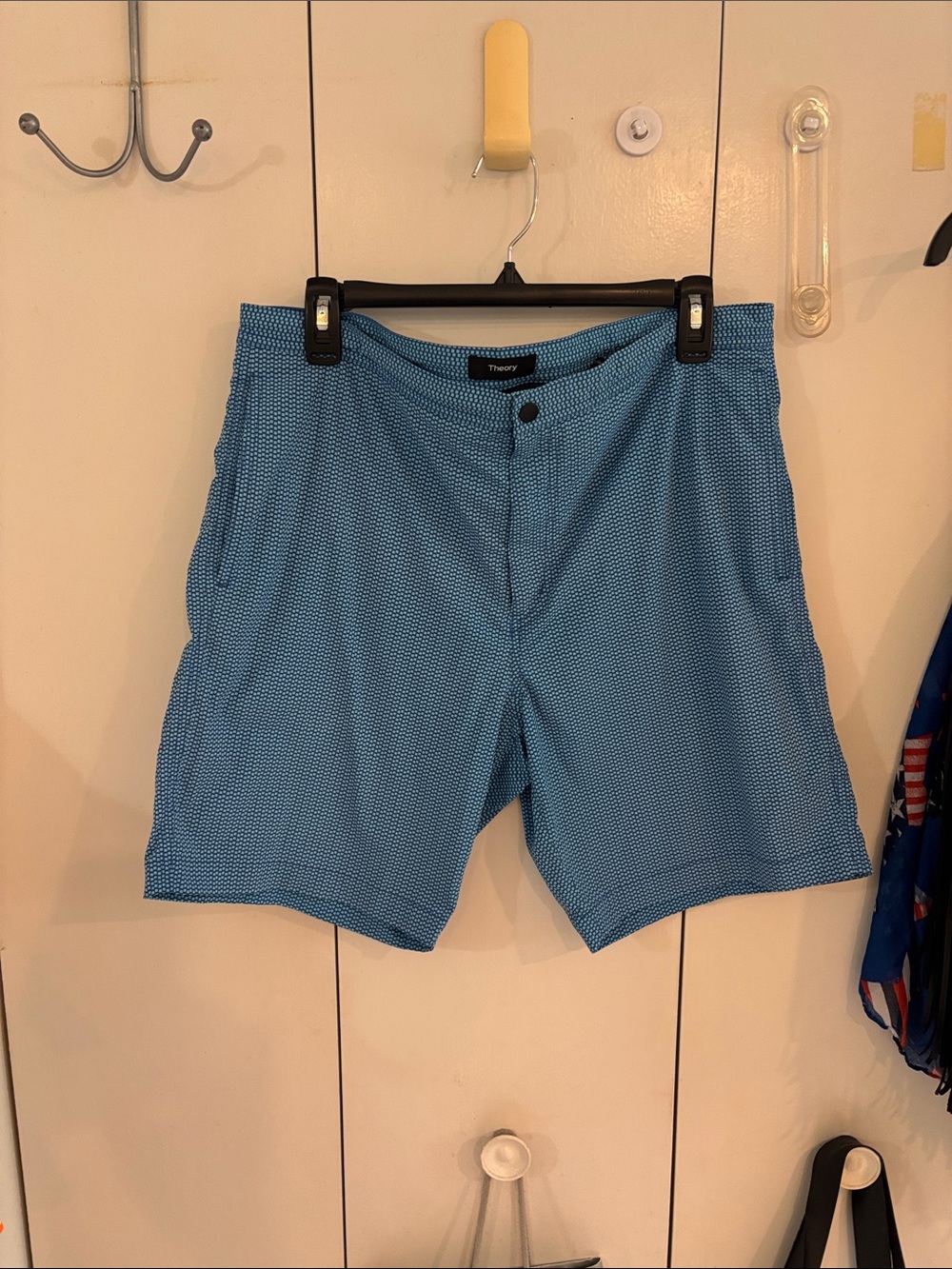 Theory men’s swim trunks blue print,L